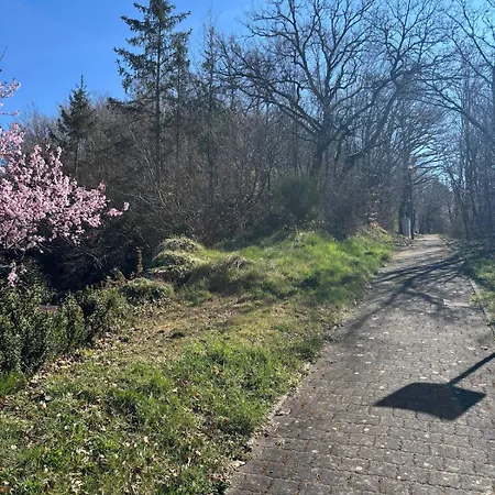 Familienhaus Fuer 6 Personen Holiday home