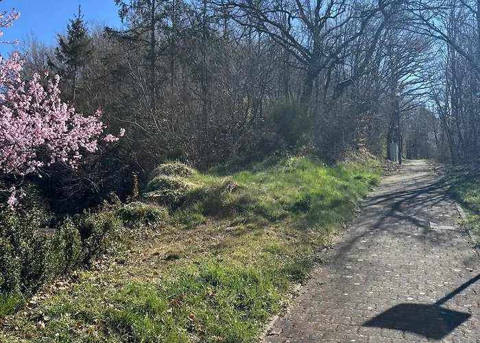 Familienhaus Fuer 6 Personen 度假居